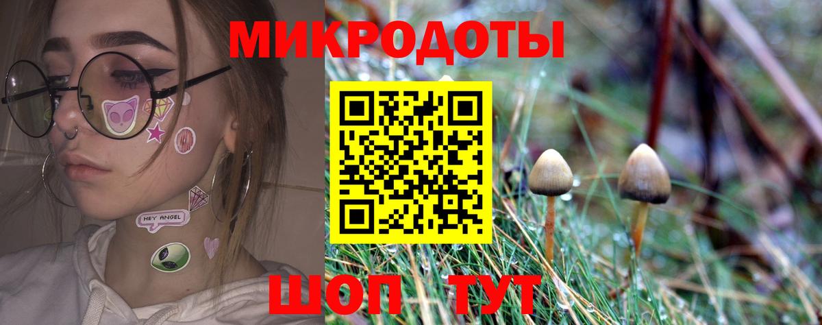 Галлюциногенные грибы Cubensis  Псилоцибиновые грибы GOLDEN TEACHER  Верхняя Салда  Вход с VPN 